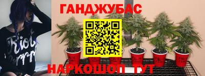 ПСИЛОЦИБИНОВЫЕ ГРИБЫ Наро-Фоминск