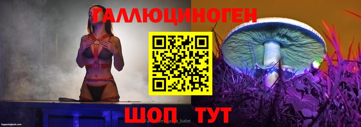 Ставрополь  где найти наркотики  Вход с VPN  Галлюциногенные грибы прущие грибы 