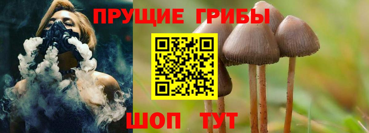 Галлюциногенные грибы прущие грибы Ставрополь